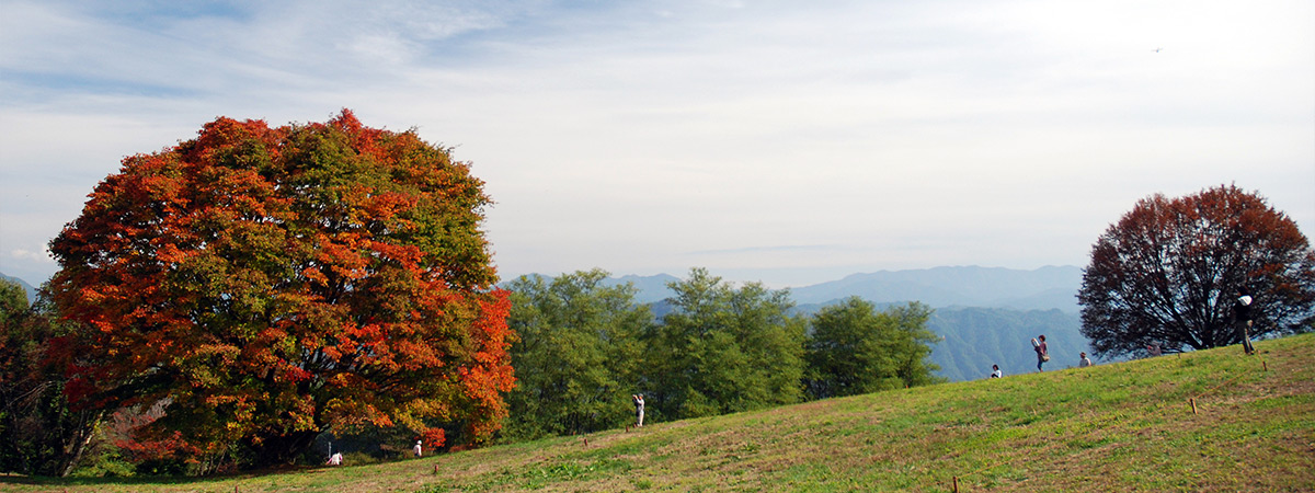 古刹霊松寺紅葉観賞&信濃大町散策ウォークと大峰高原七色大楓紅葉ウォーク